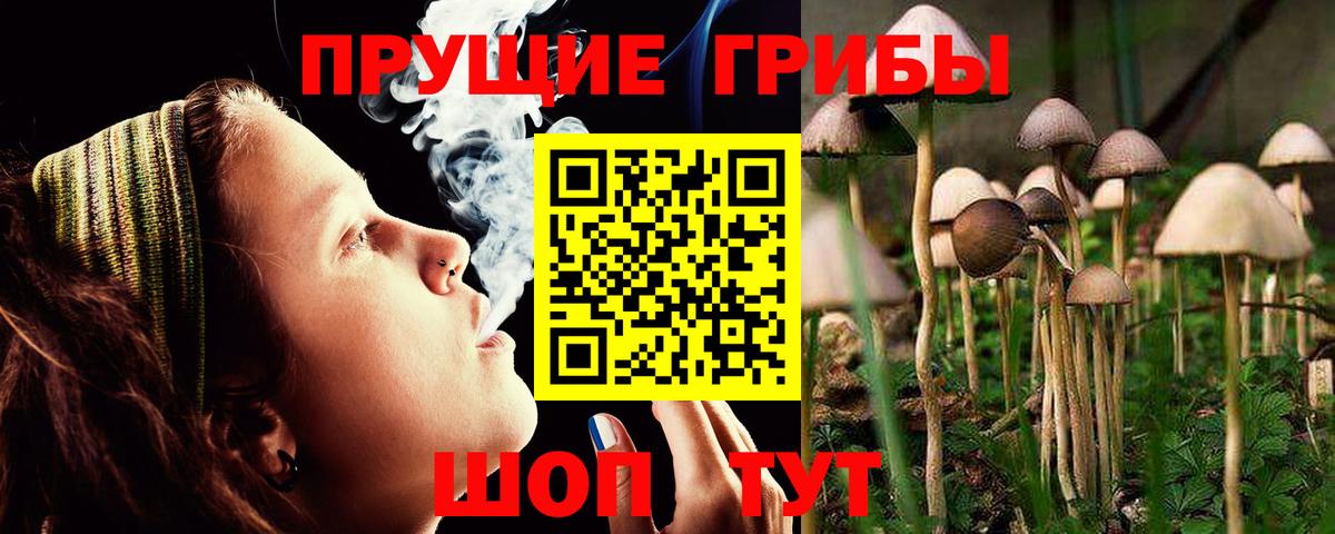 Галлюциногенные грибы мицелий  Вход с VPN  Мурманск 
